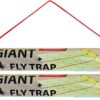 2 Pack (Contains 2 Giant Fly Traps)